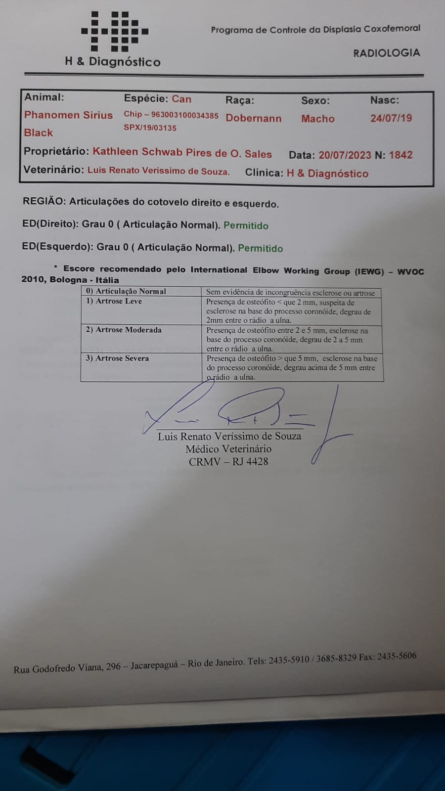 Exâme de raio-X