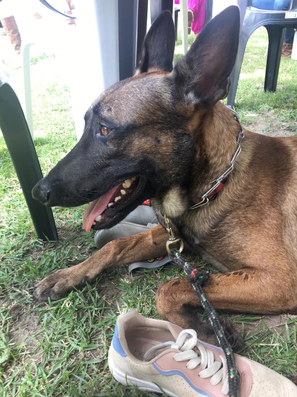 Vladmir Putin Monte Aracan