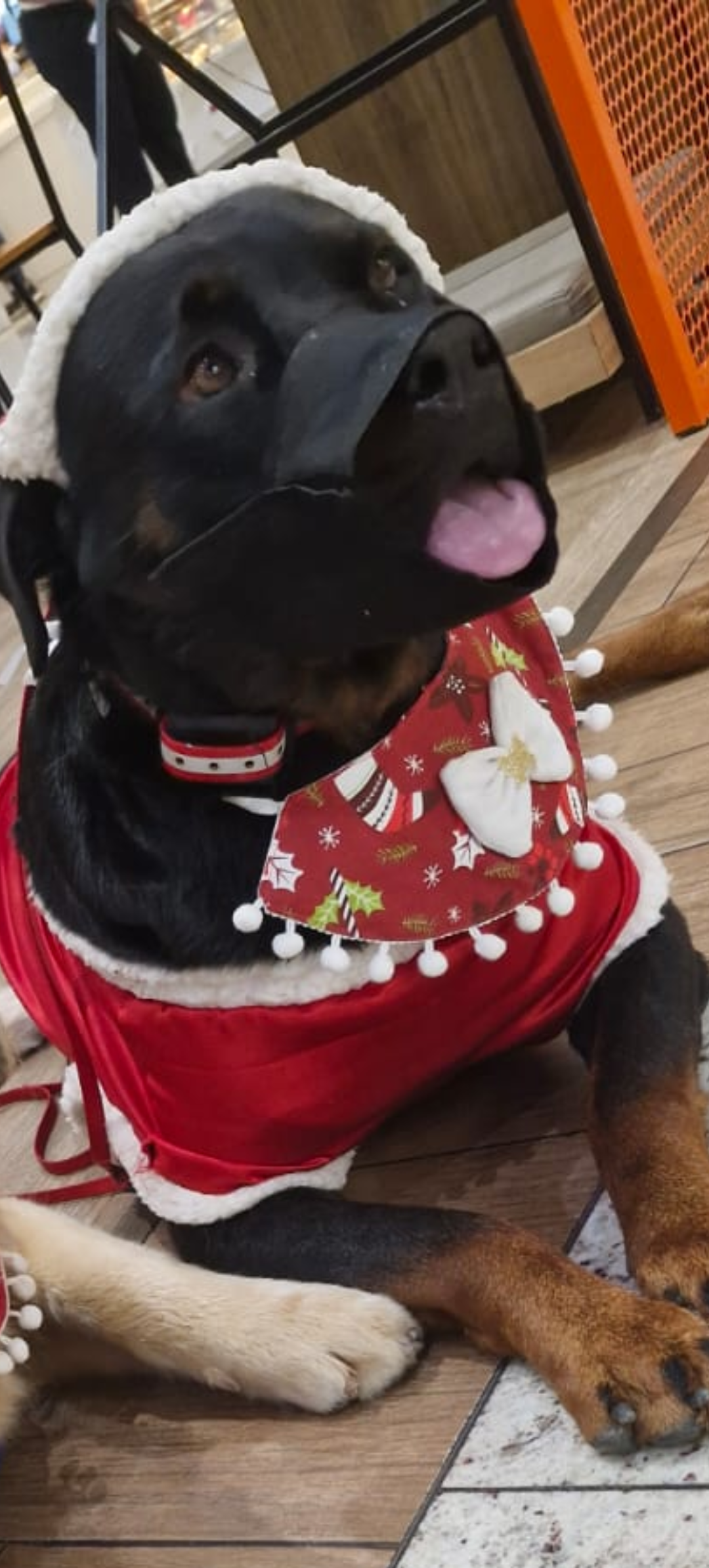 Kira Pequena