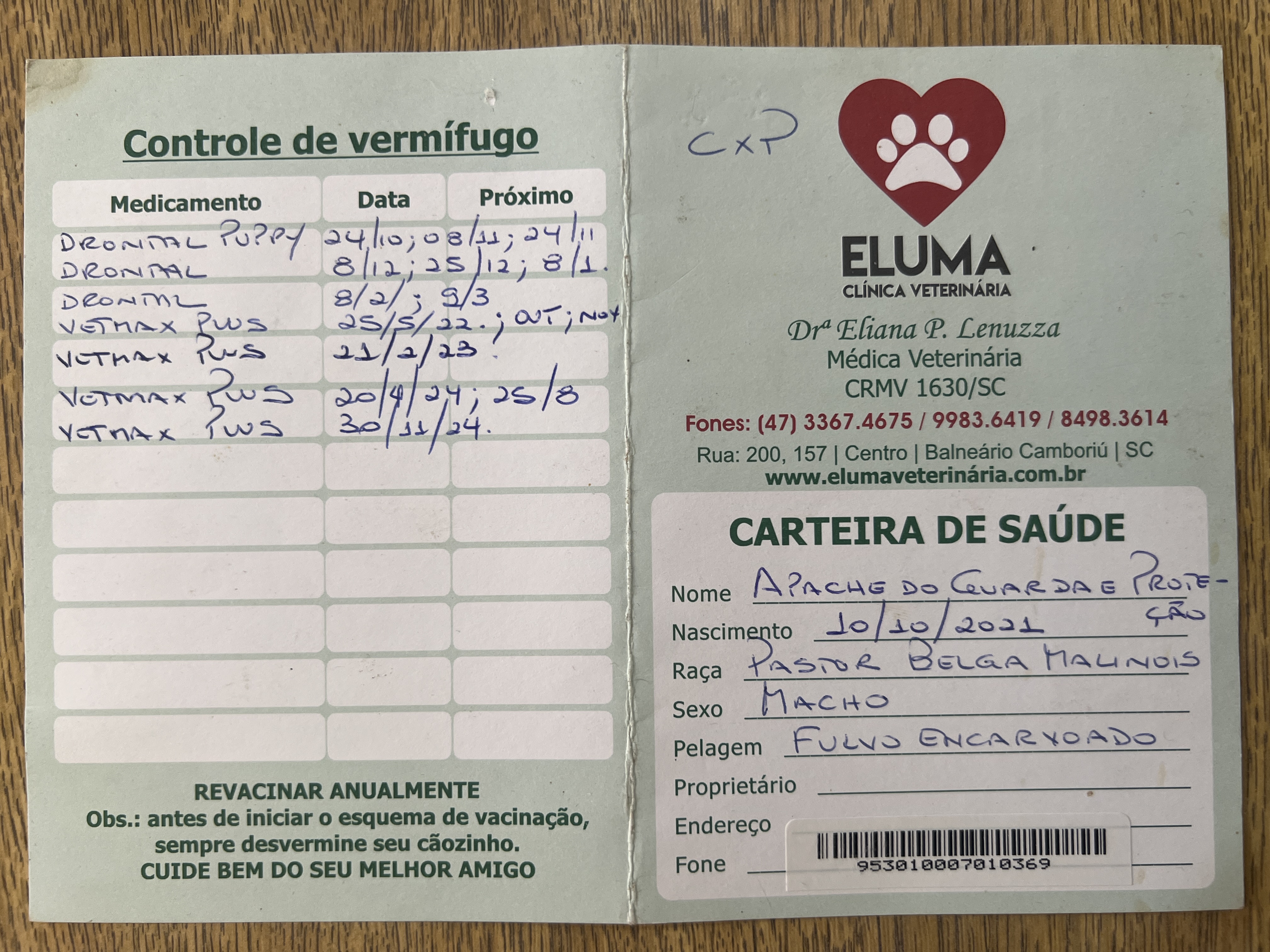 Exâme de raio-X