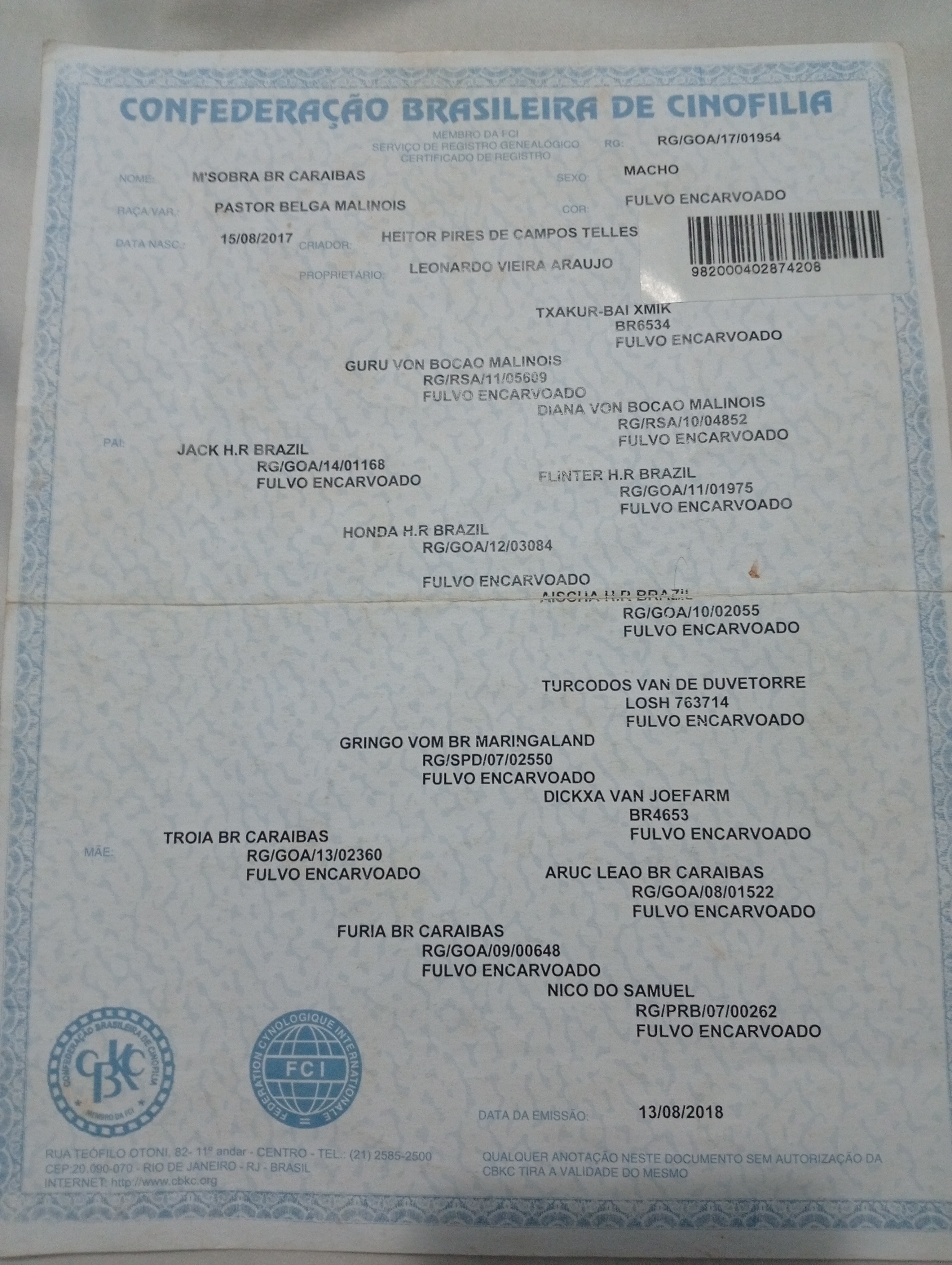 Exâme de raio-X