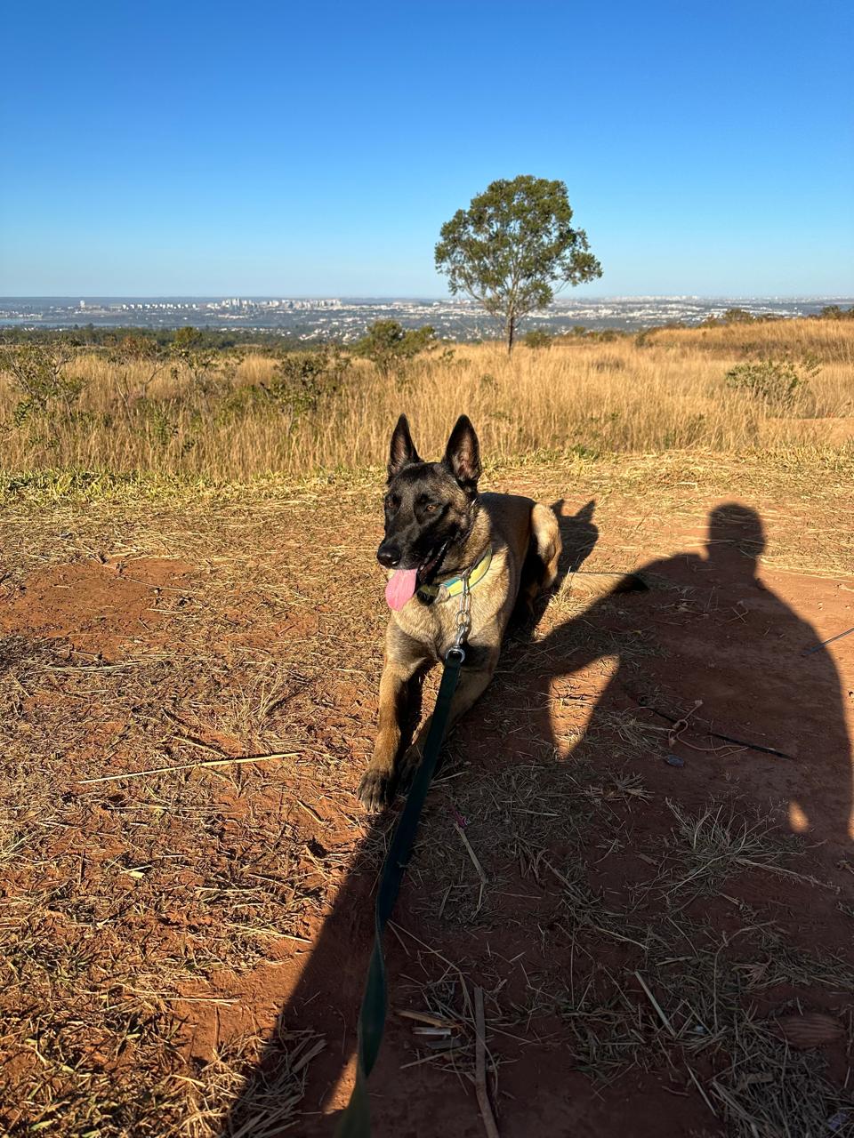 Rancho Romano Luna