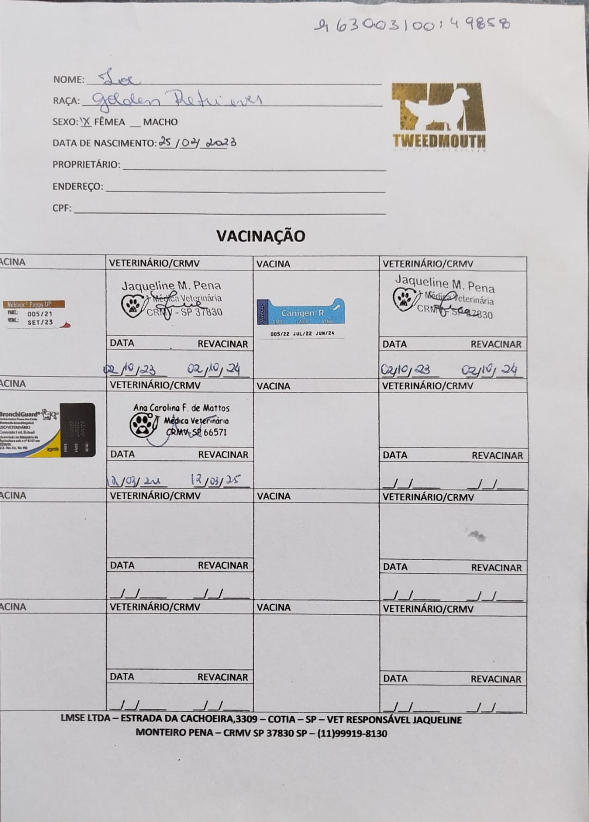 Exâme de raio-X