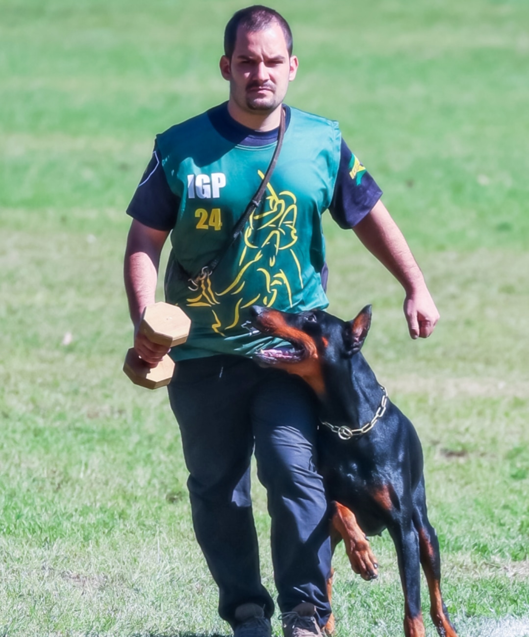 Omniarquia Lotan