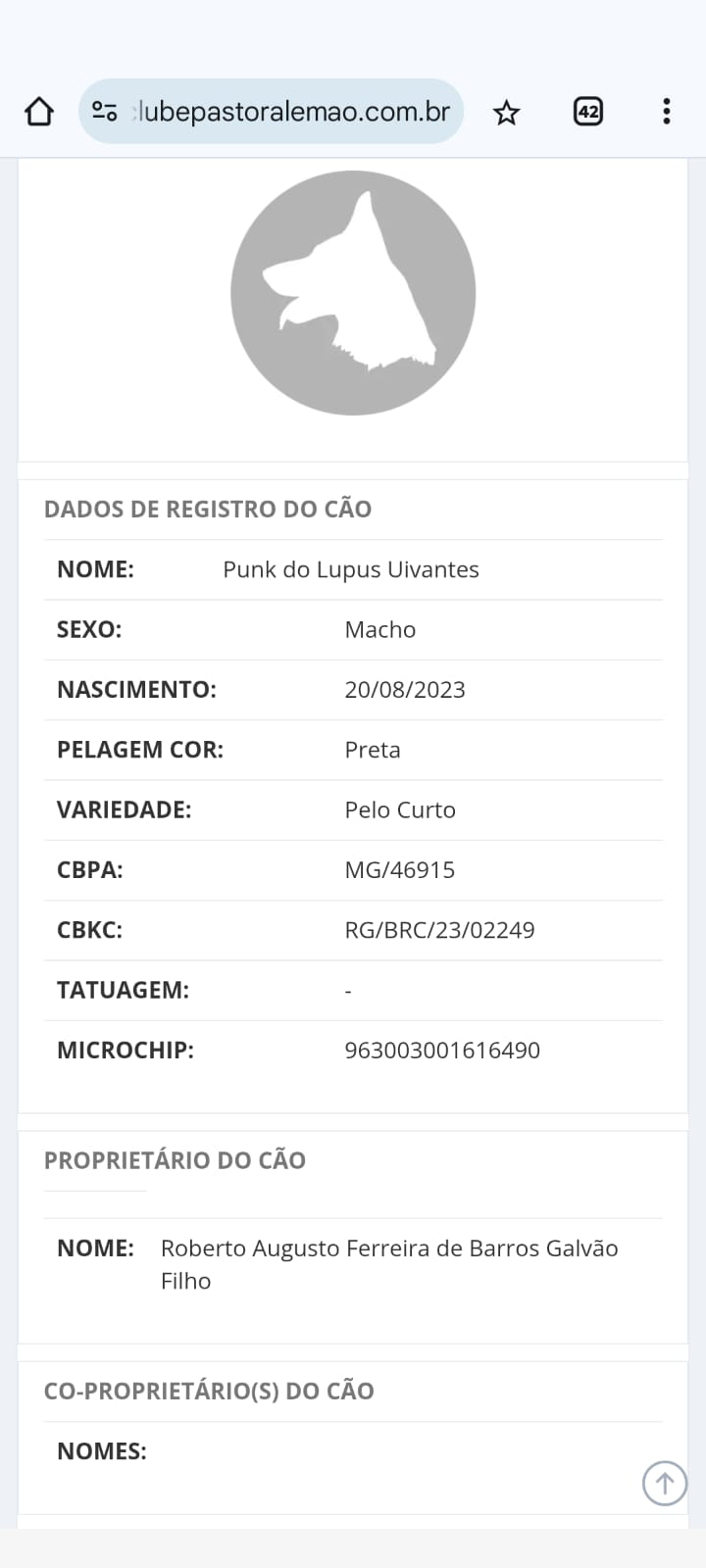 Exâme de raio-X
