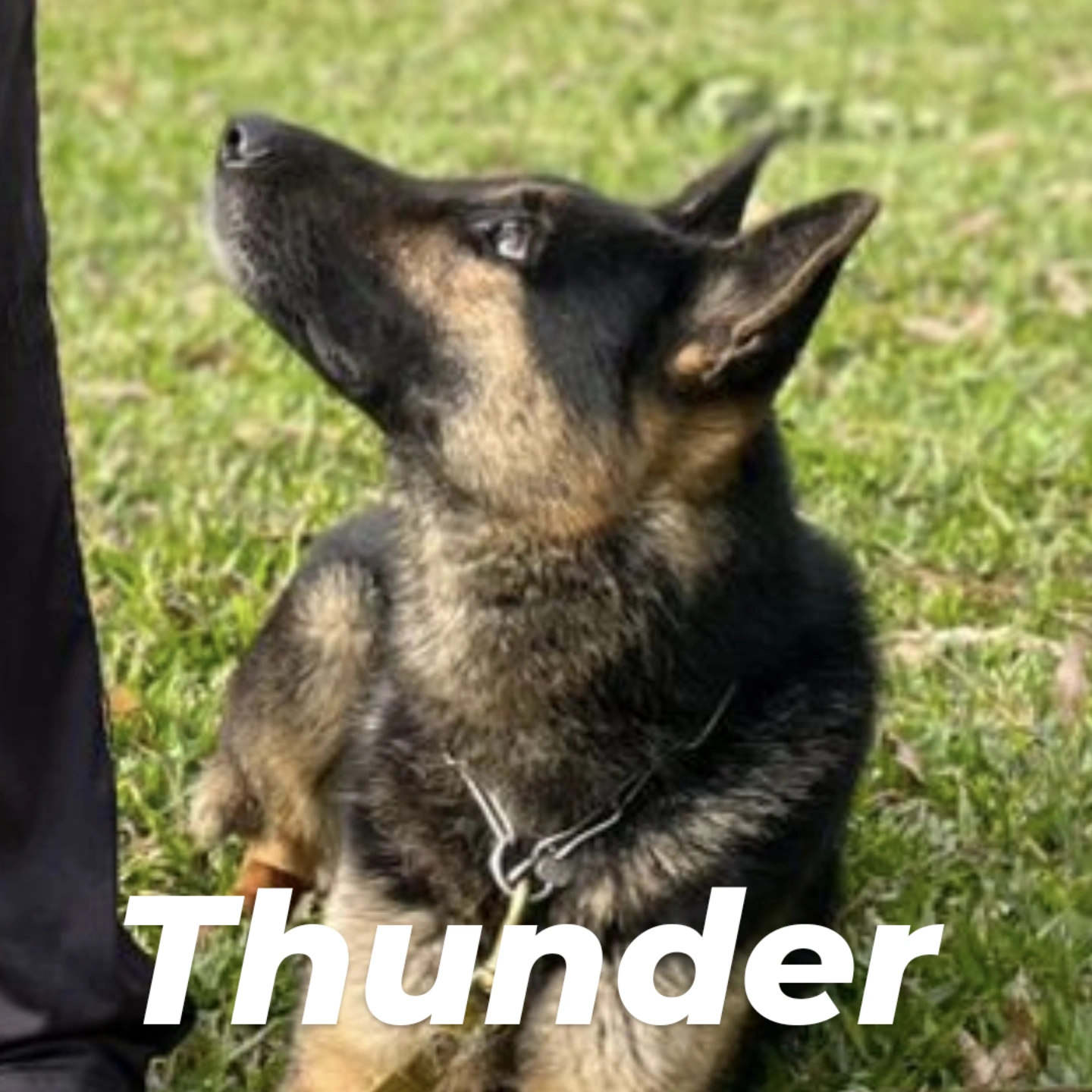 Thunder do Sadonana