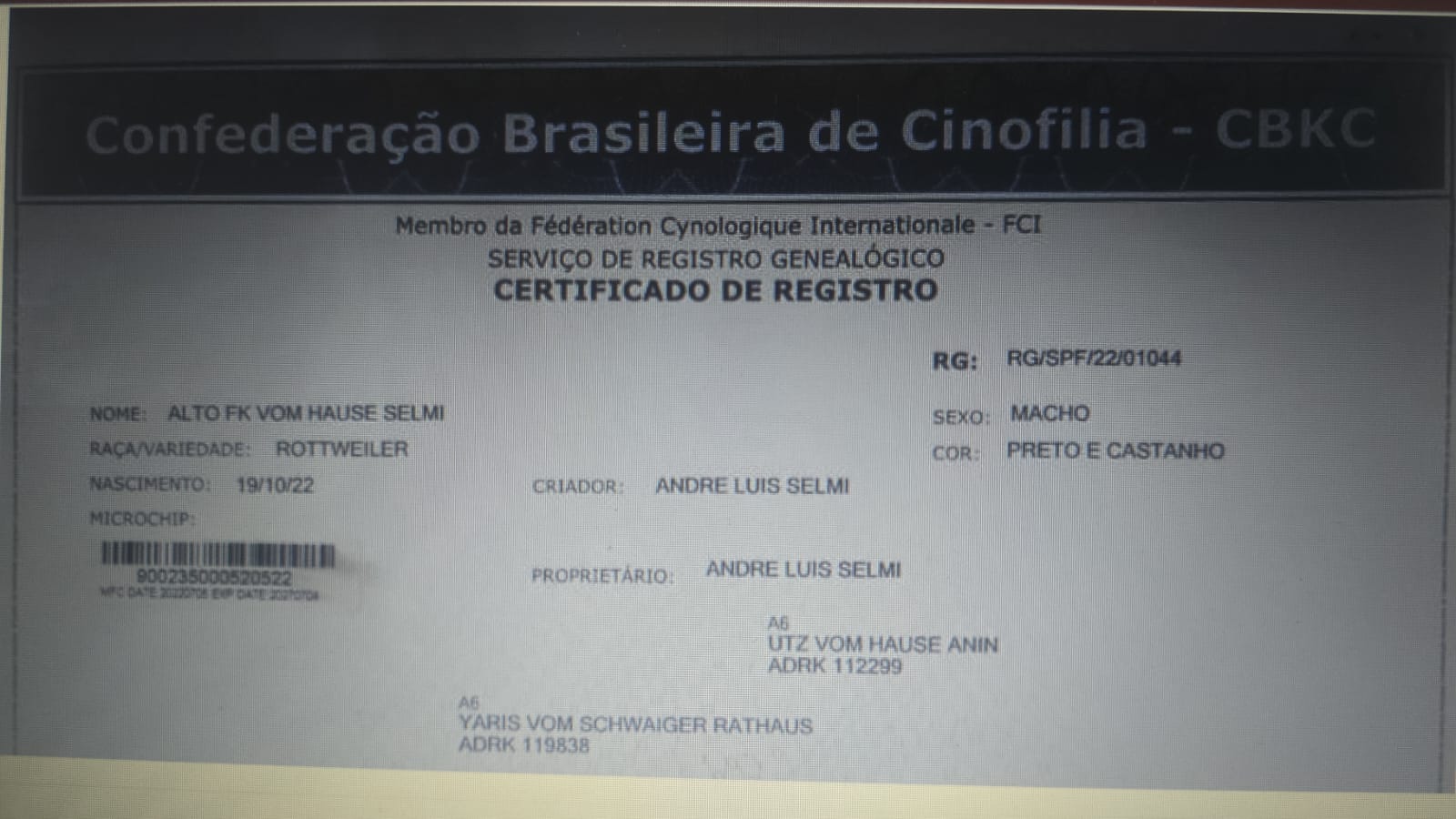 Exâme de raio-X