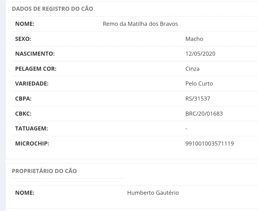 Exâme de raio-X