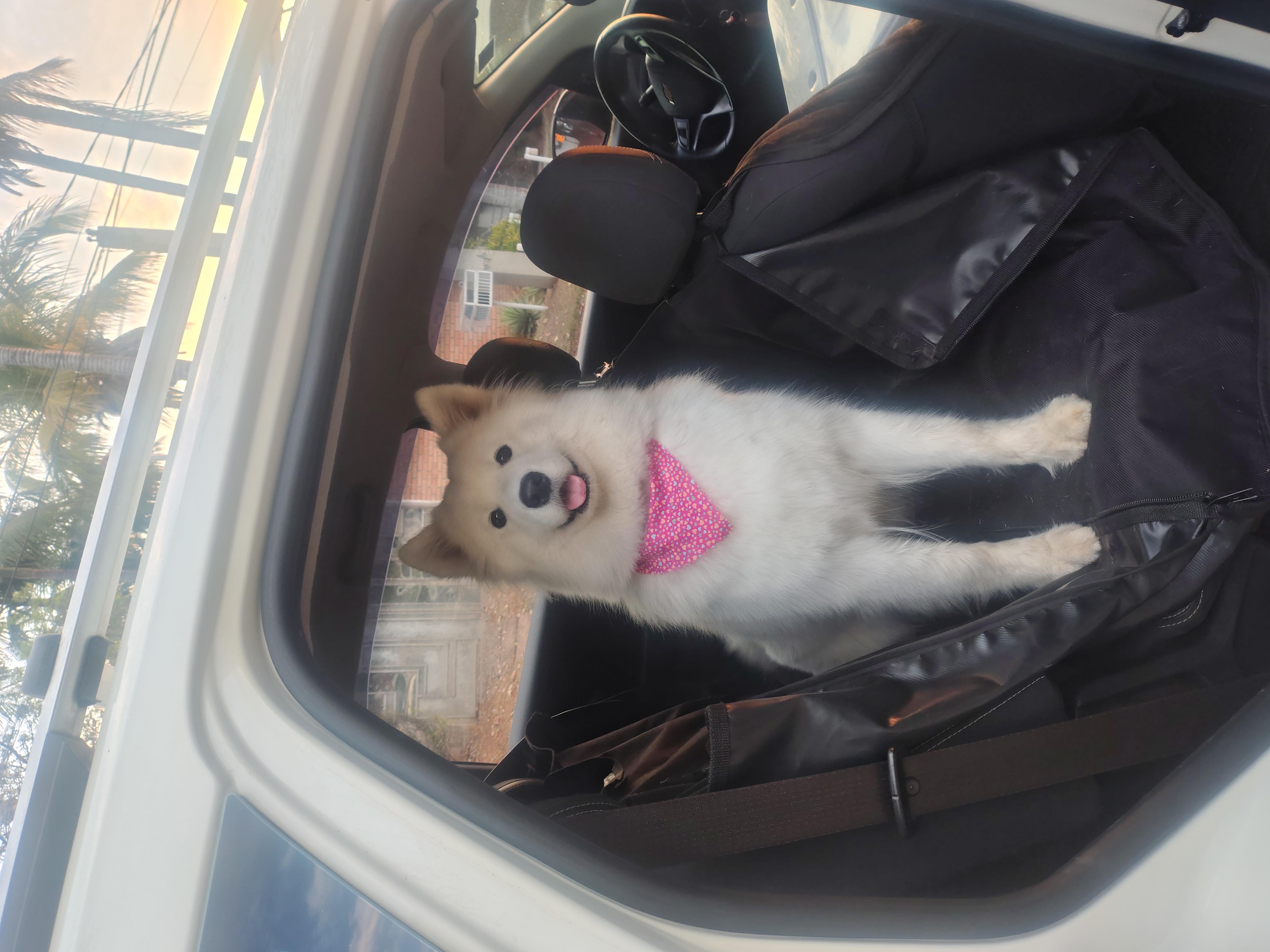 Brisa III Of New Everest