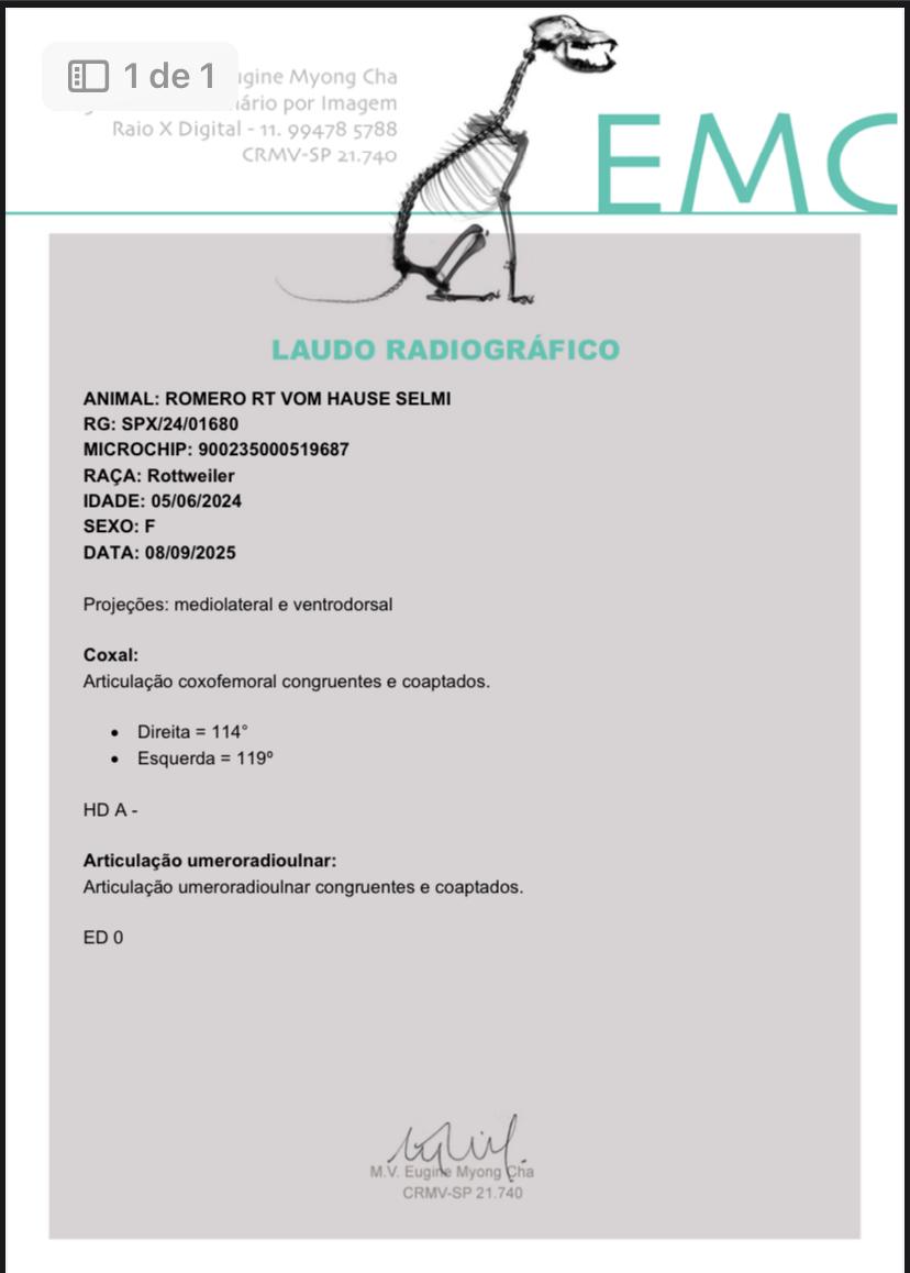 Exâme de raio-X