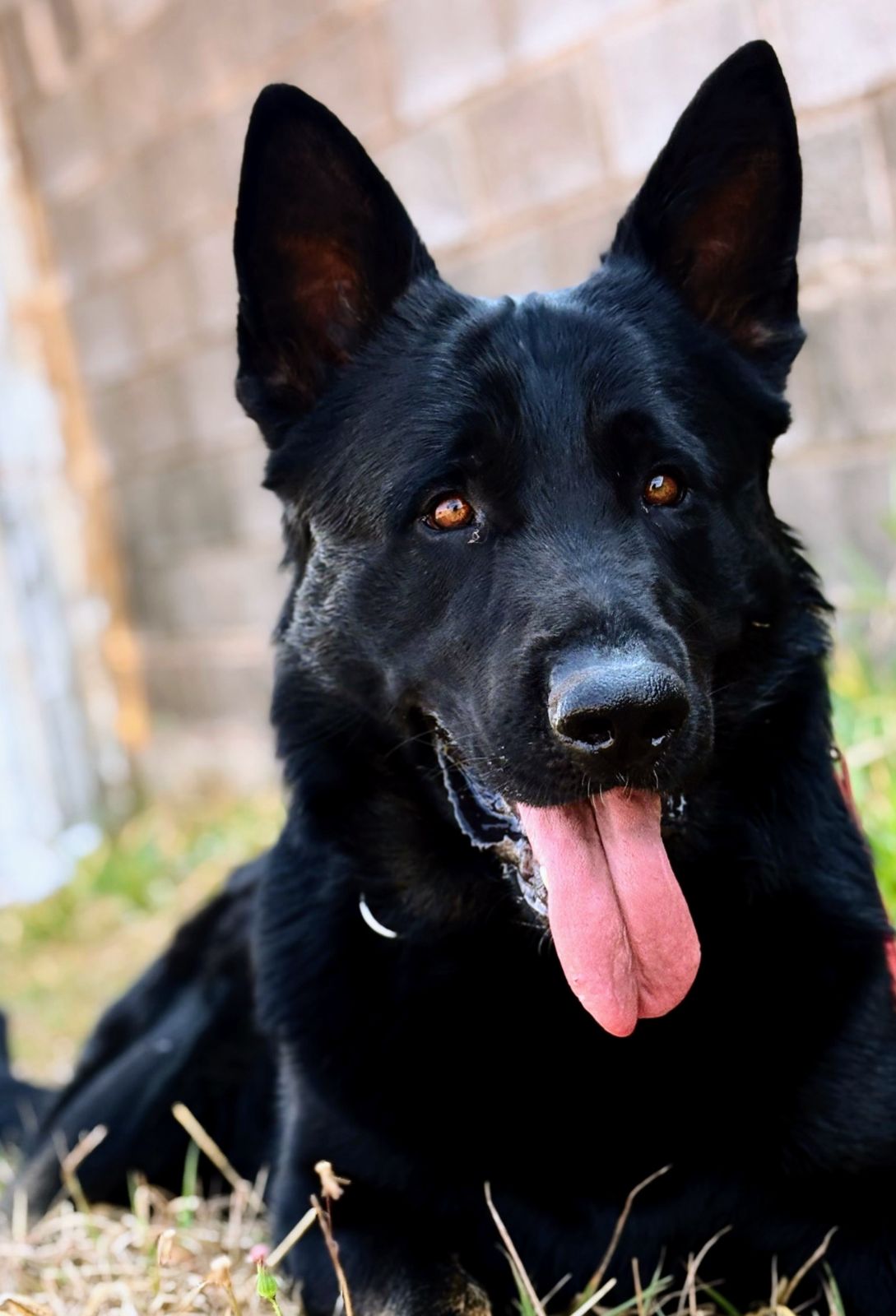 L- Ragnar Chacara Campaio