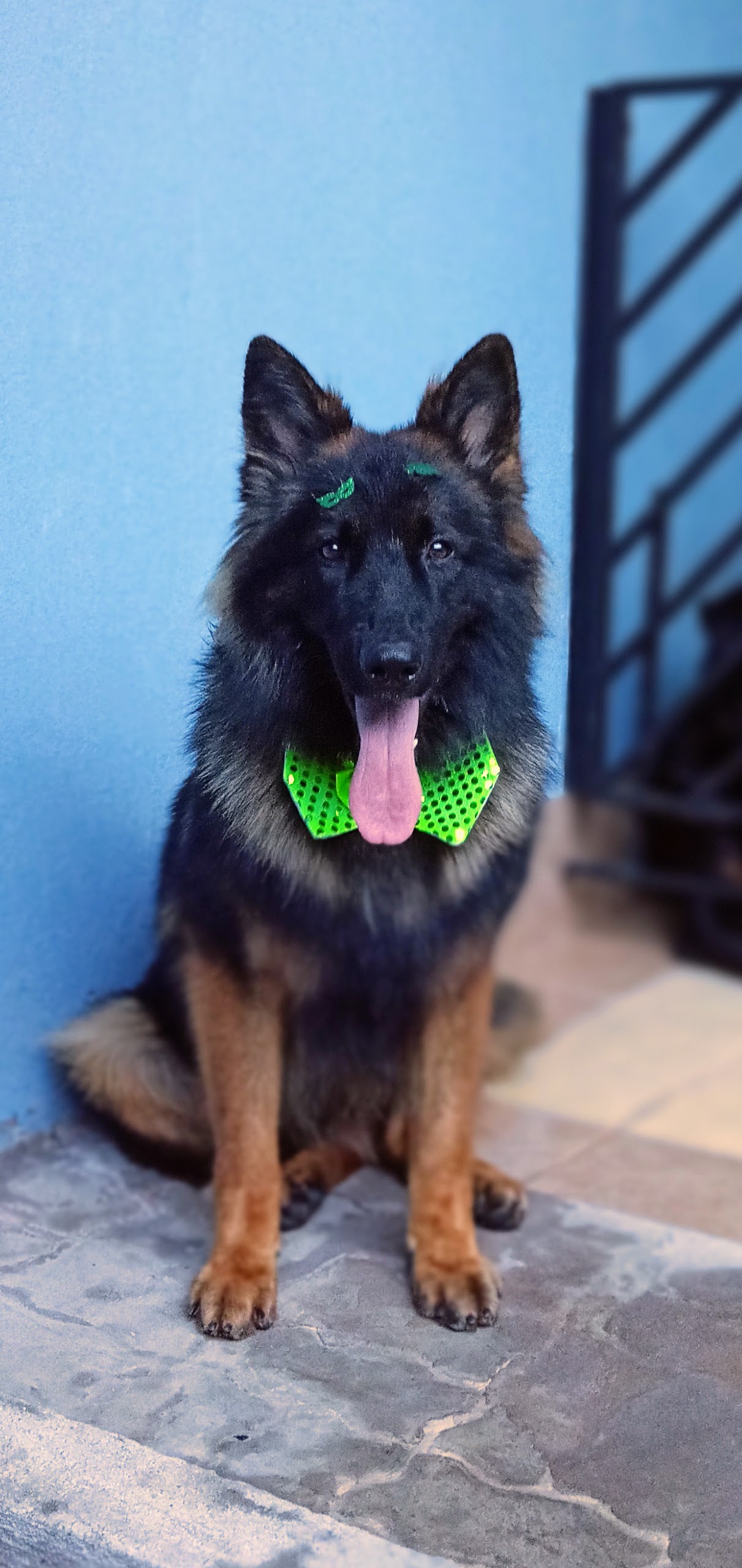 Taurus 113rd do Ravagnani