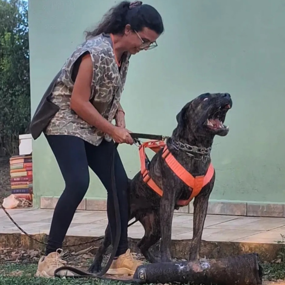 Éris Cane di Dio
