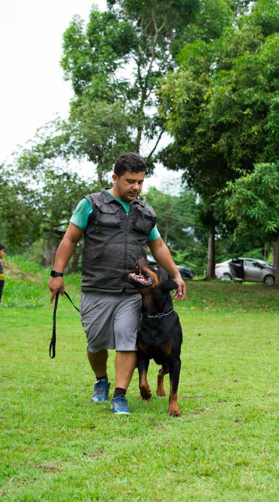 Chuck Anjo Matilha do Triângulo