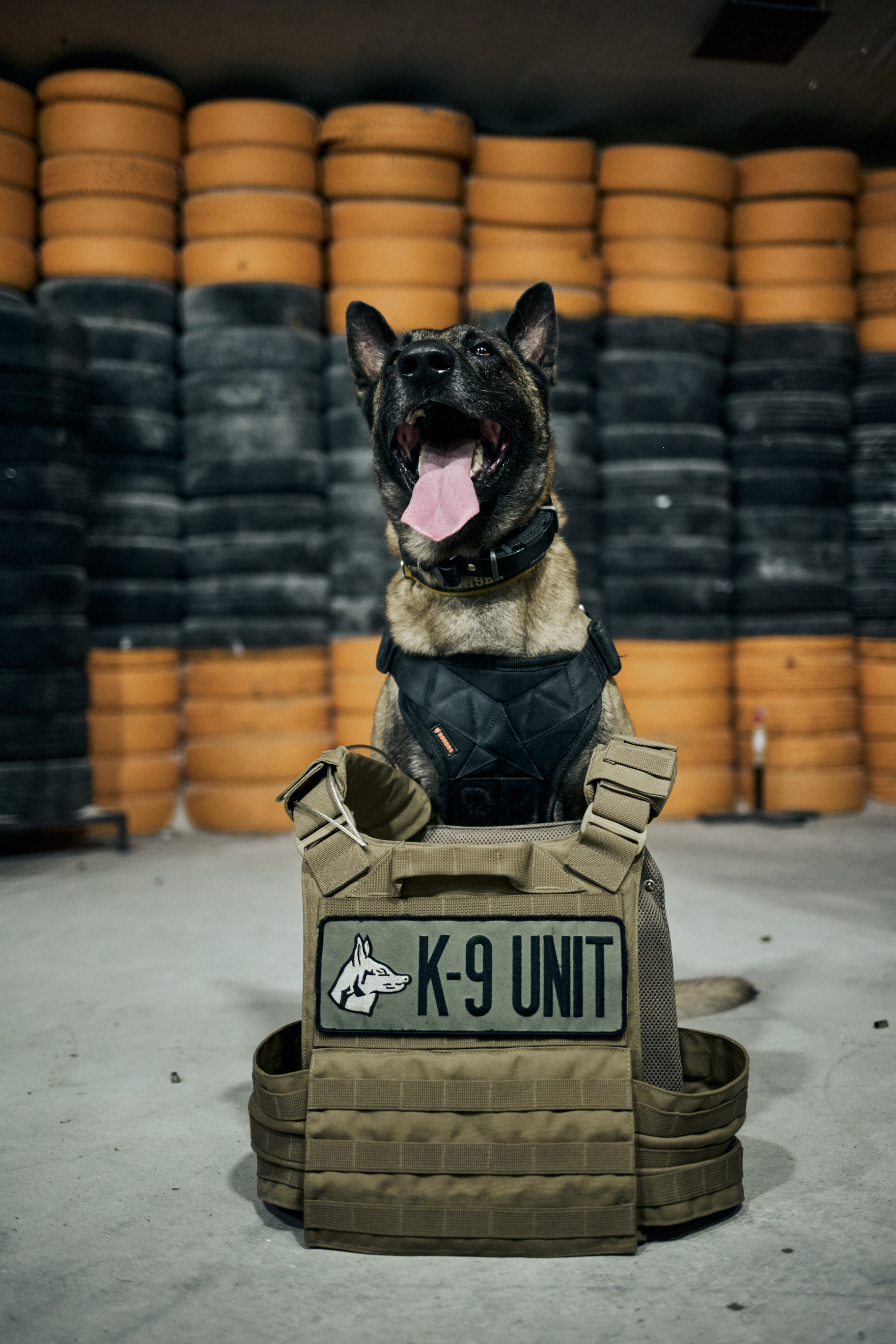 ARON KAISER VON WAECHTER