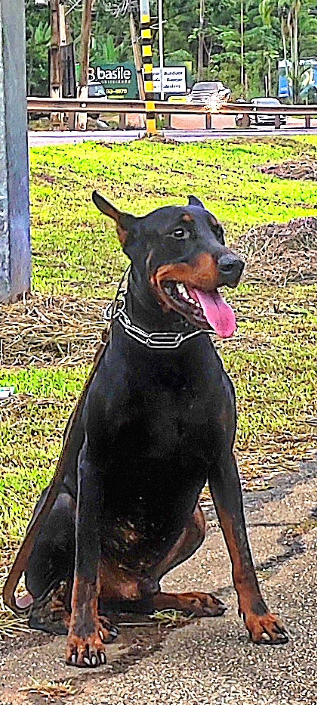 Odin