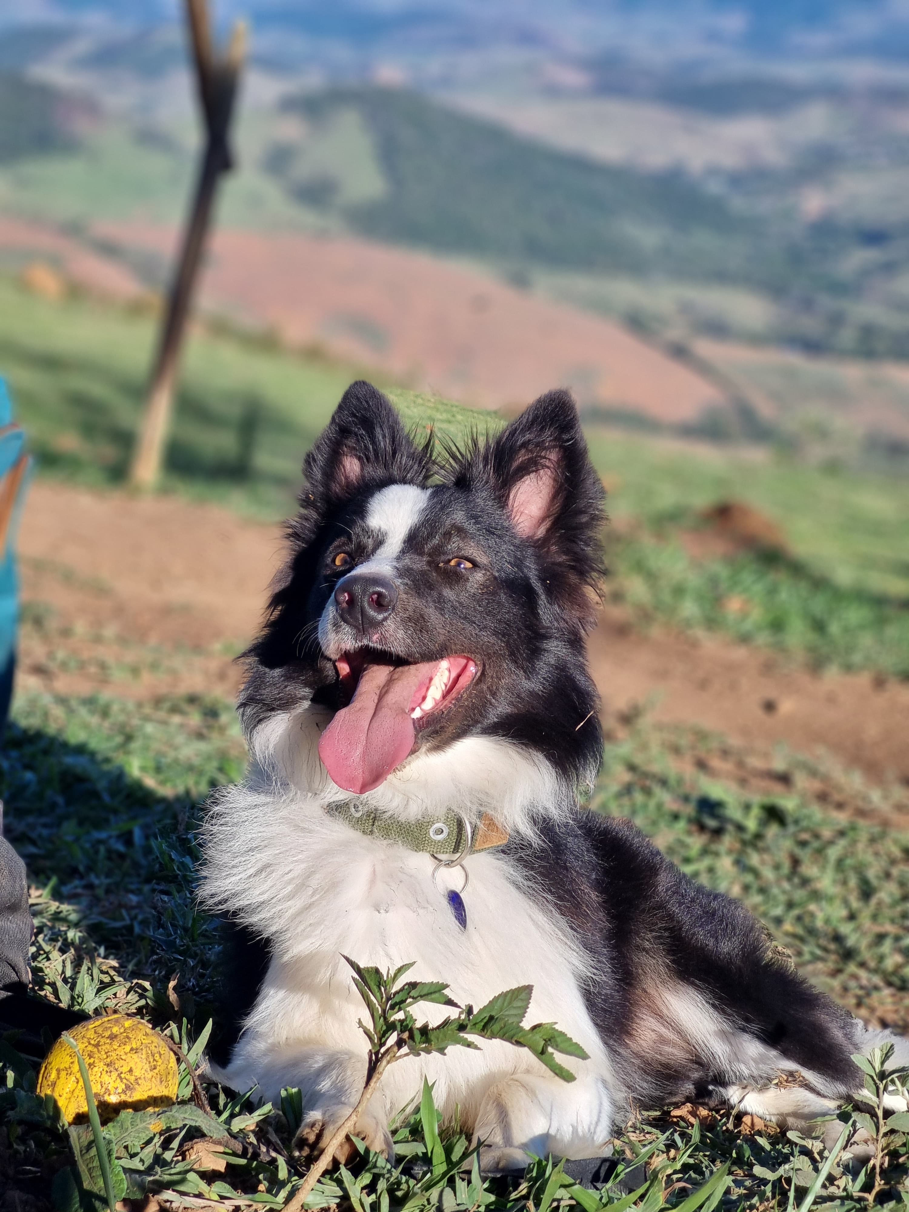 Kenai