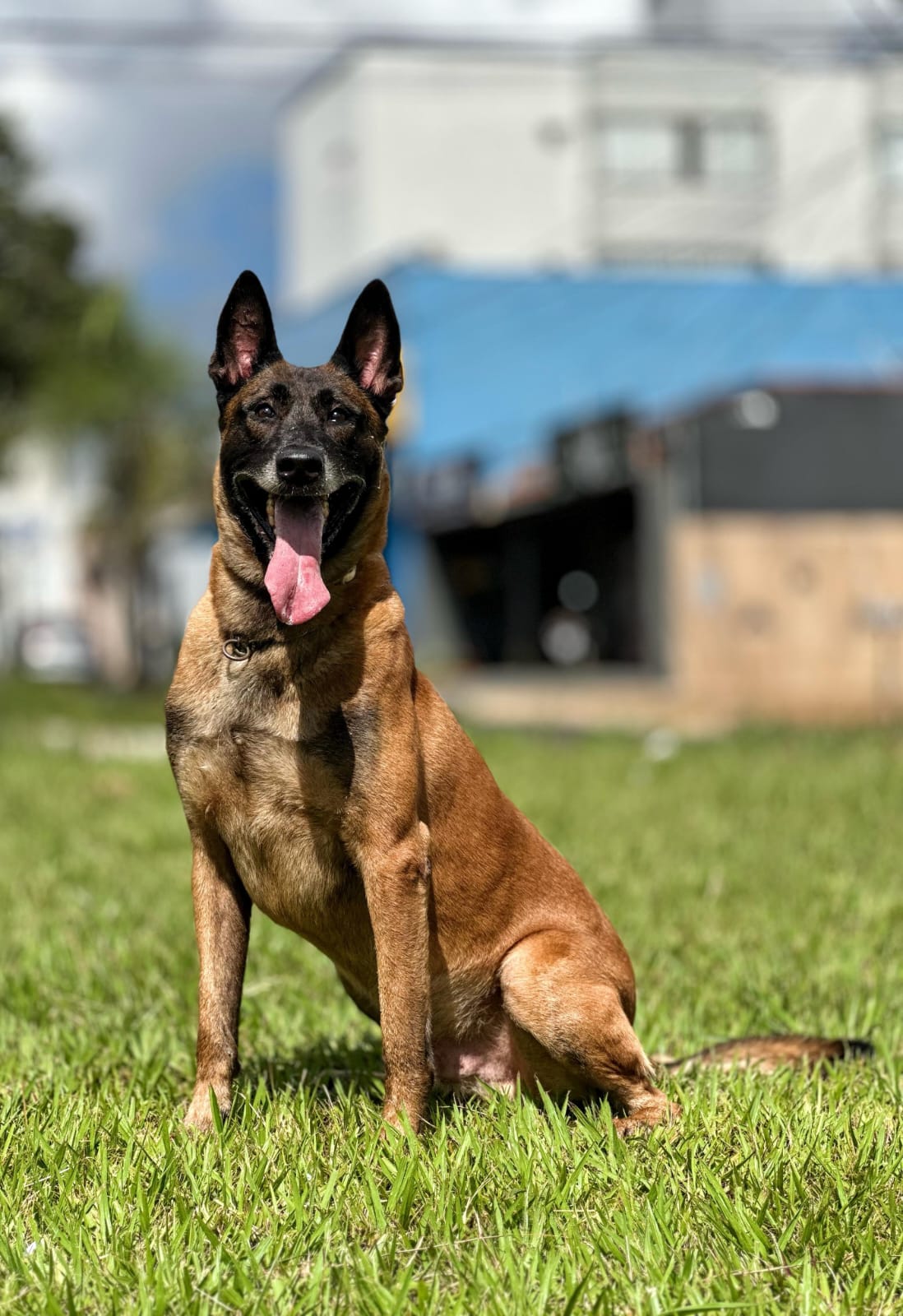Bruce Wayne Daxengel