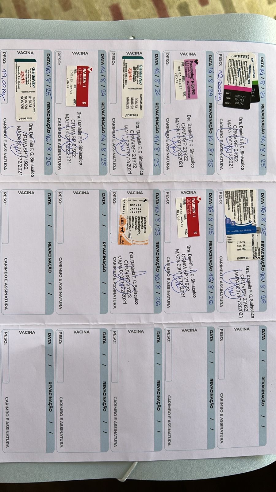 Exâme de raio-X