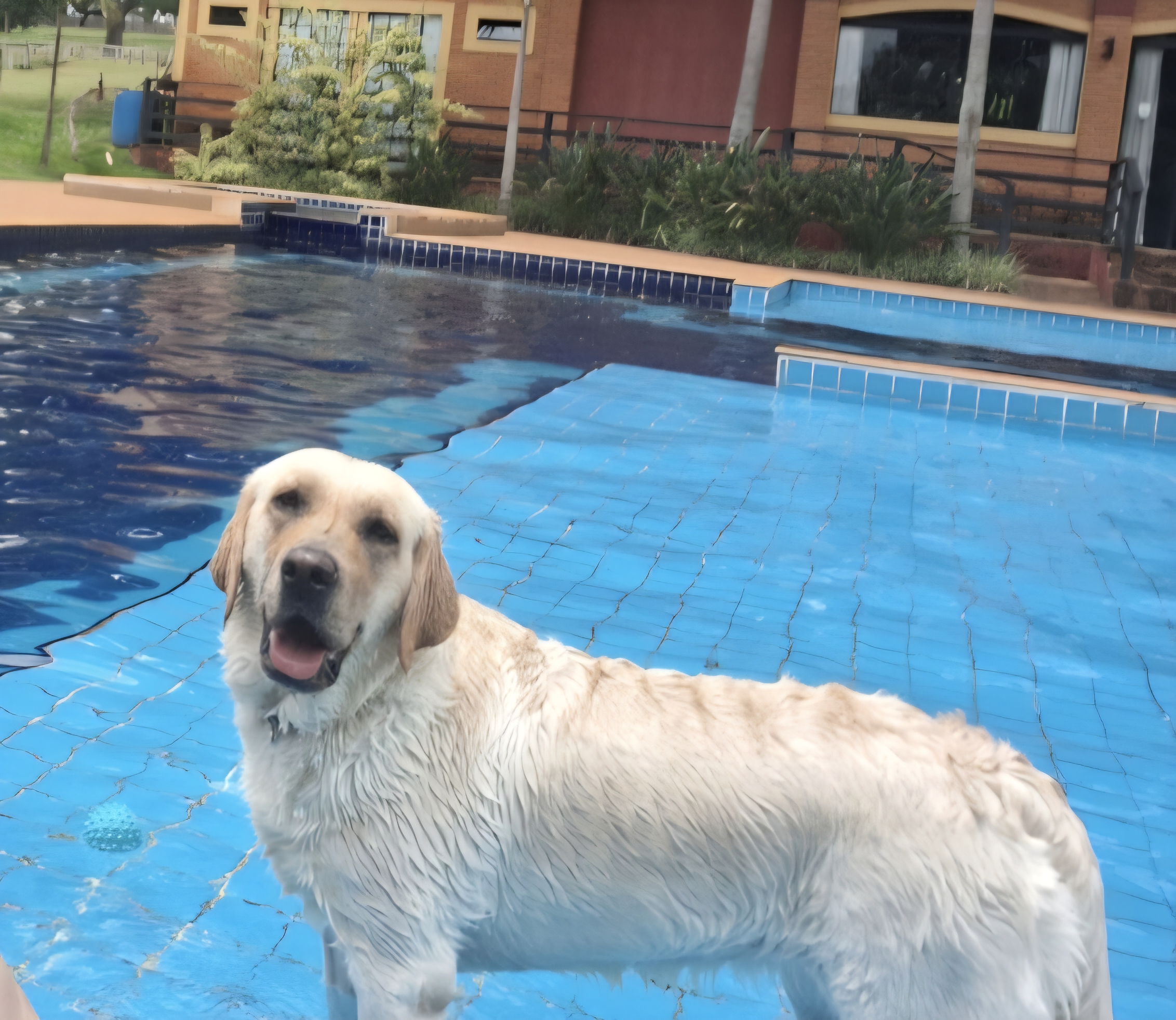 Dulce